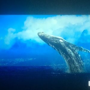 Meet your Posher, Graham